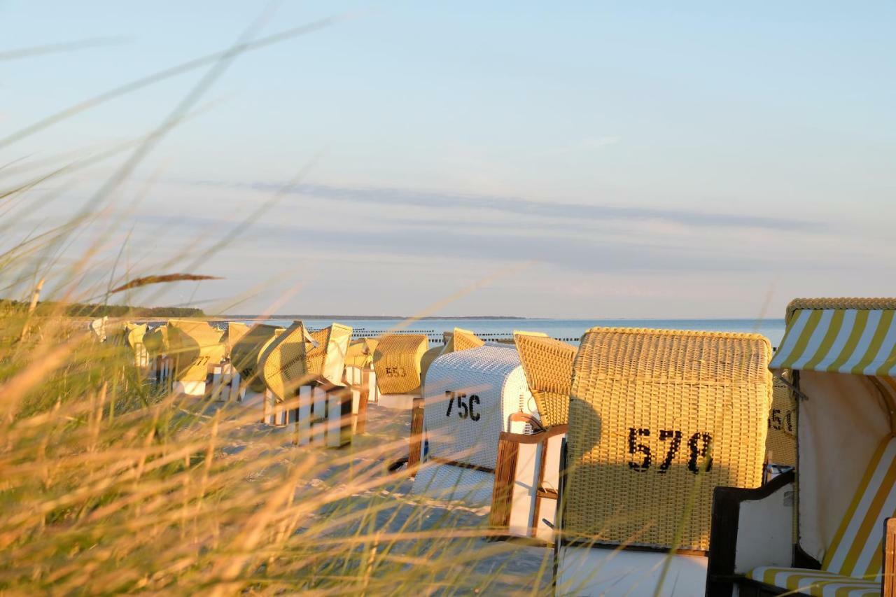 Hotel Meerlust Zingst Exterior photo